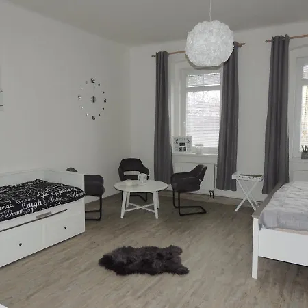 Cerny Tulipan - 4 Plzen
