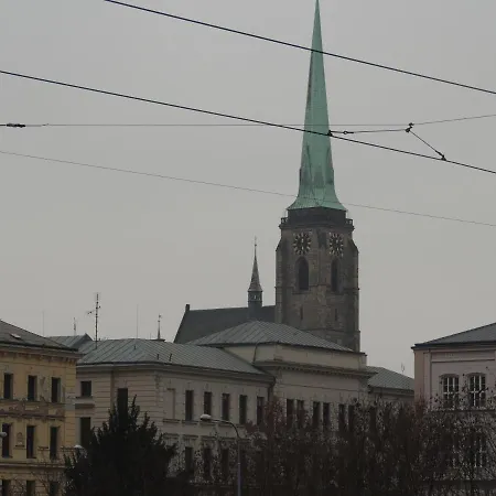 černý Tulipán - 4 *