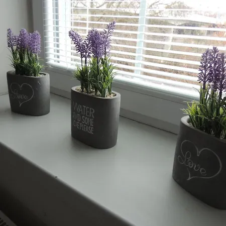 Apartmán černý Tulipán #4 Plzeň