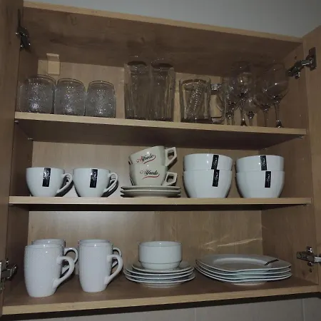 černý Tulipán #4 Apartmán