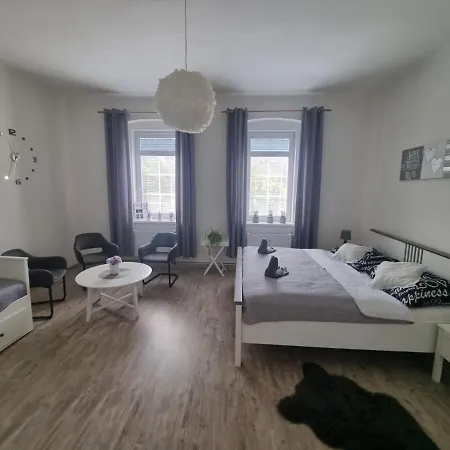 Cerny Tulipan - 4 *