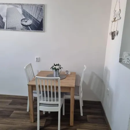 Cerny Tulipan - 4 Plzeň