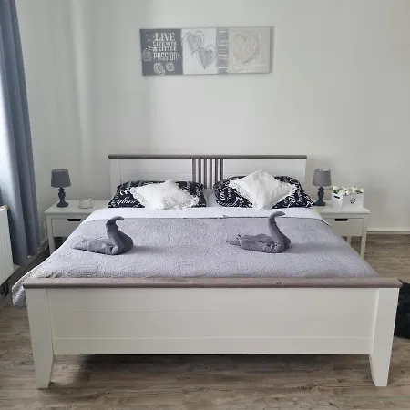 černý Tulipán - 4