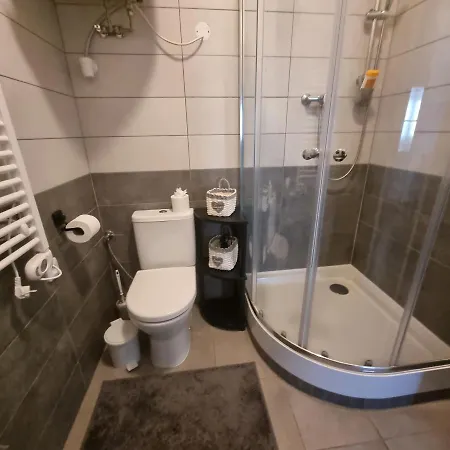 černý Tulipán #4