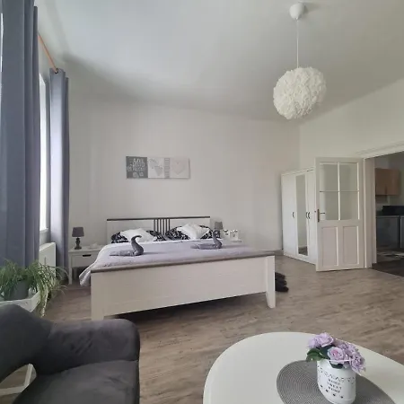 Apartamento černý Tulipán - 4