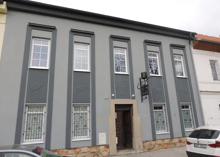 Lägenhet Cerny Tulipan - 4 *