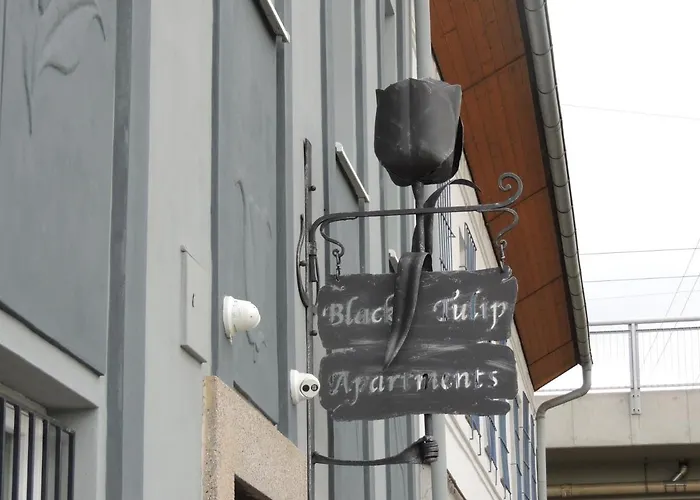 Cerny Tulipan - 4 Apartment Pilsen