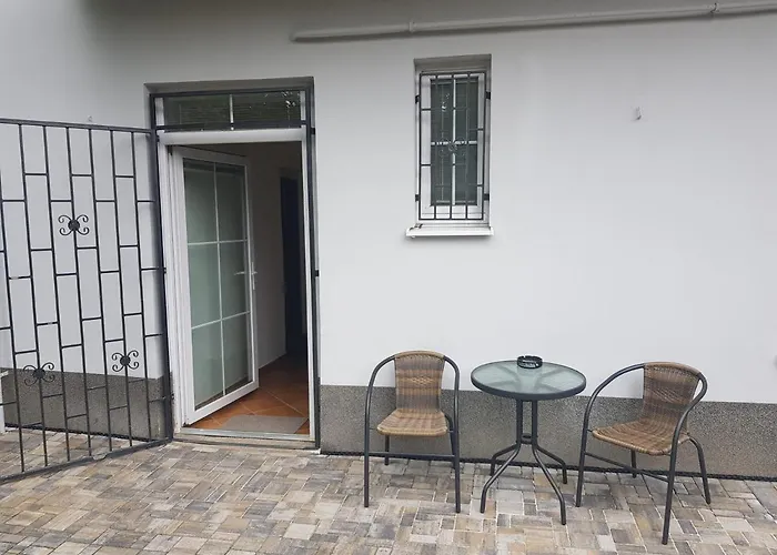 Cerny Tulipan - 4 * Pilsen