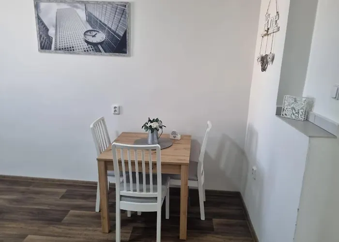 Cerny Tulipan - 4 Plzeň