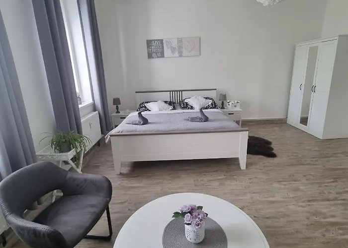 Cerny Tulipan - 4 Lägenhet Plzeň