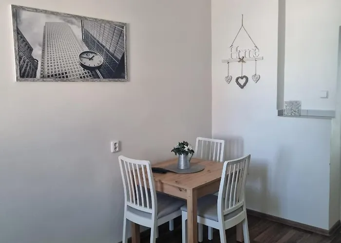 Cerny Tulipan - 4 * Plzeň