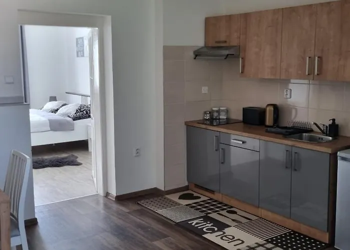 Cerny Tulipan - 4 Lägenhet Plzeň