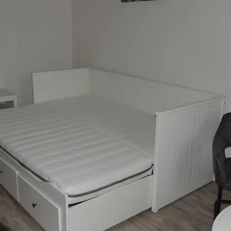 Cerny Tulipan - 4 *