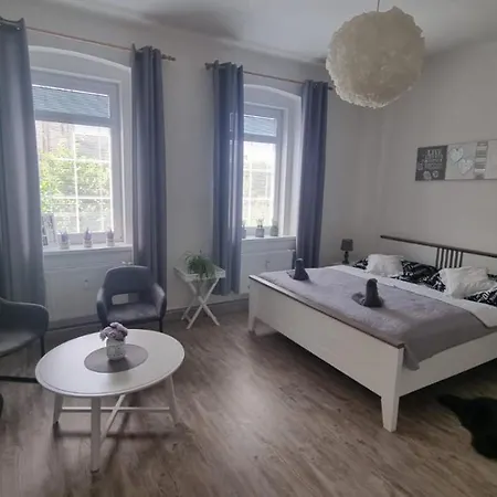 Cerny Tulipan - 4 Apartament