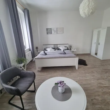 Cerny Tulipan - 4 Apartament Pilzno