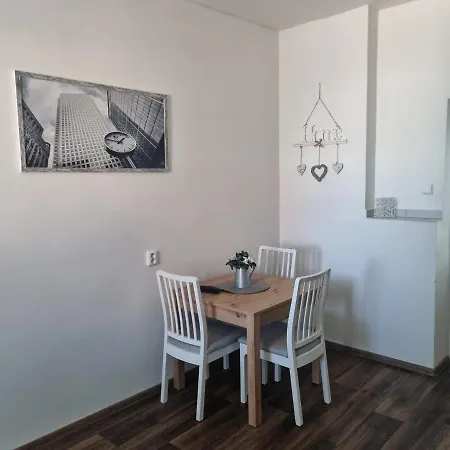 Cerny Tulipan - 4 * Pilzno