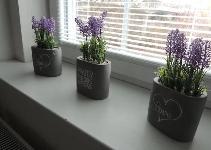 アパート Cerny Tulipan - 4 プルゼニ