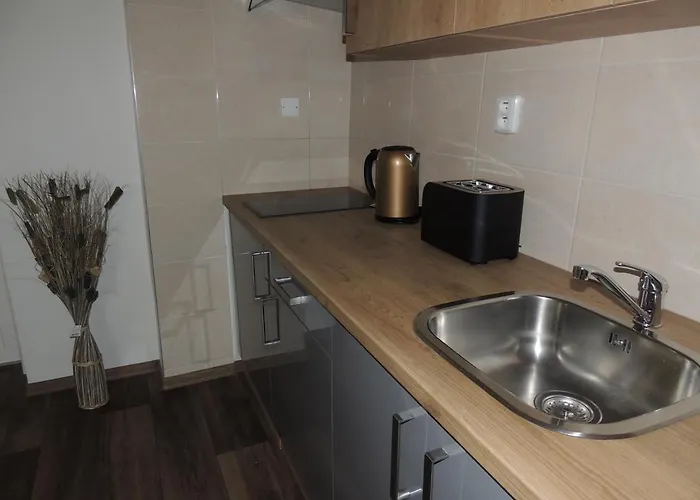 Cerny Tulipan - 4 プルゼニ