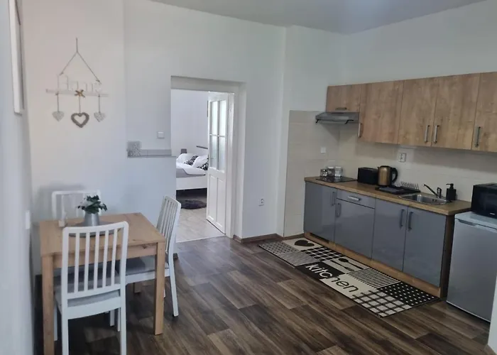 Cerny Tulipan - 4 アパート プルゼニ