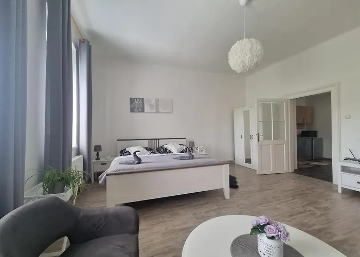 アパート Cerny Tulipan - 4